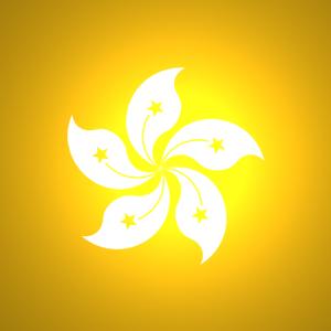 國(guó)內到香港物流,大(dà)陸至香港貨運,廣州物流到香港